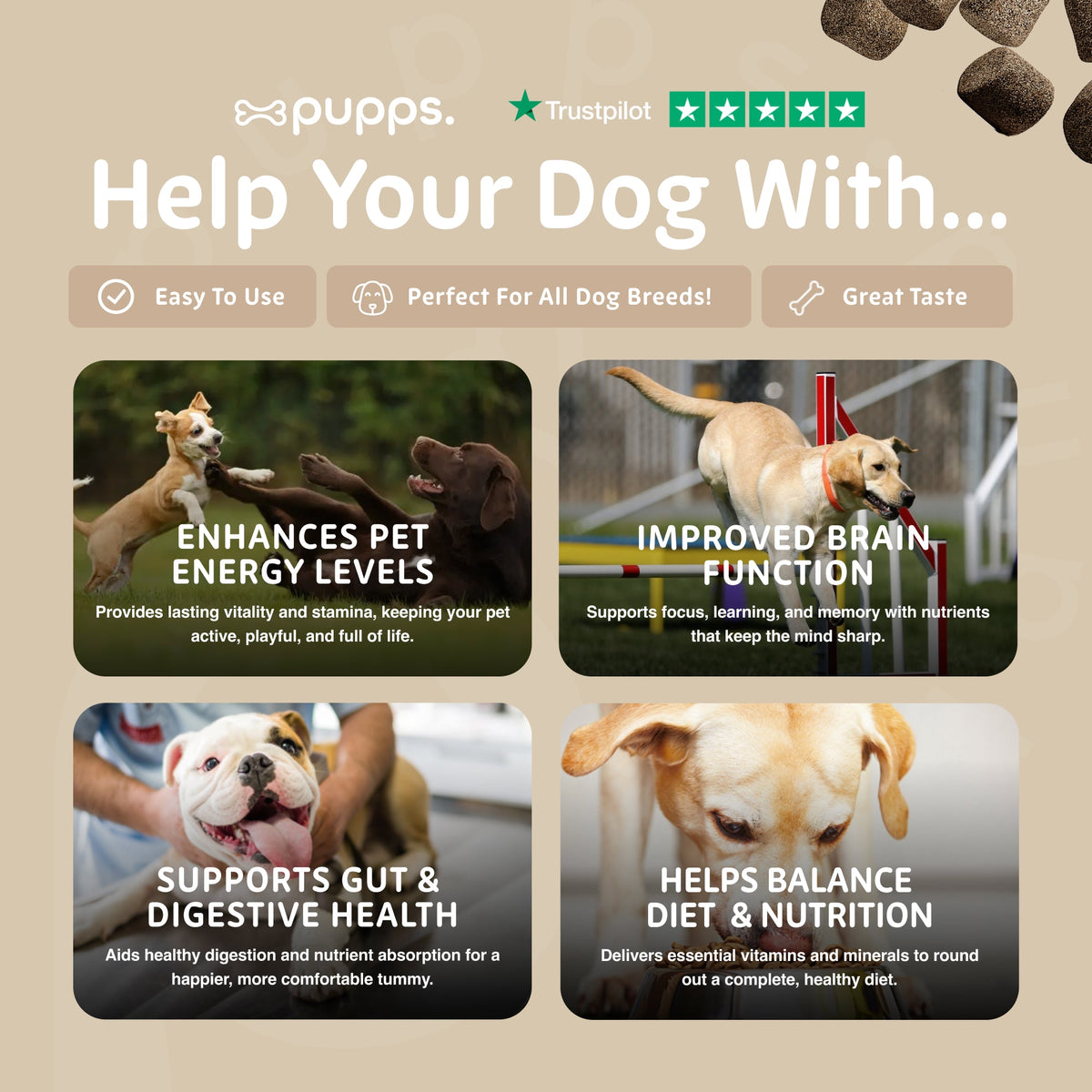 Pupps Multivitamin chews infographic panel with four photos of dogs playing and resting