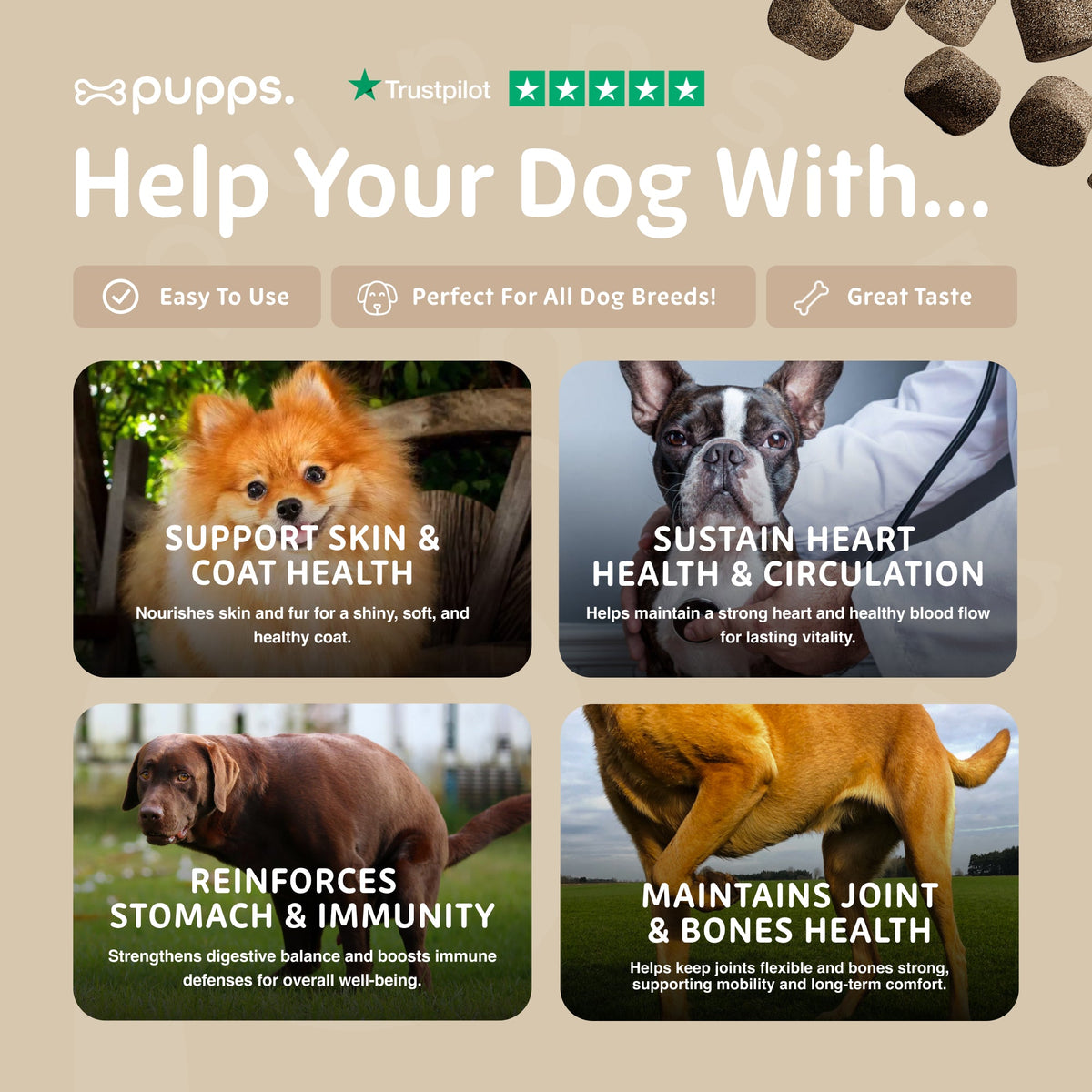Pupps Multivitamin infographic panel with photos of a Pomeranian, French Bulldog and other dogs