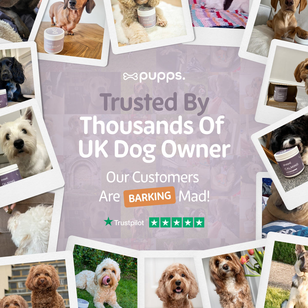 Collage of dog owner photos on a lilac Pupps graphic