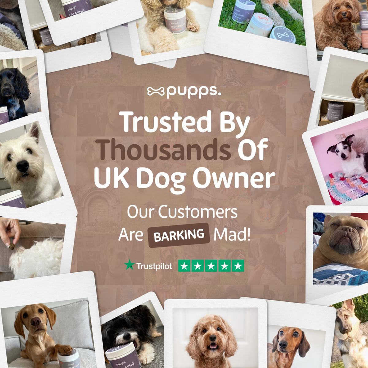 Collage of customer dog photos around Pupps branding on a mauve background