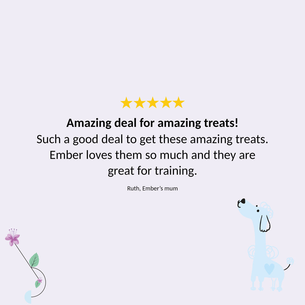 Customer quote card for the Gizzls Everyday treats bundle on a lilac background