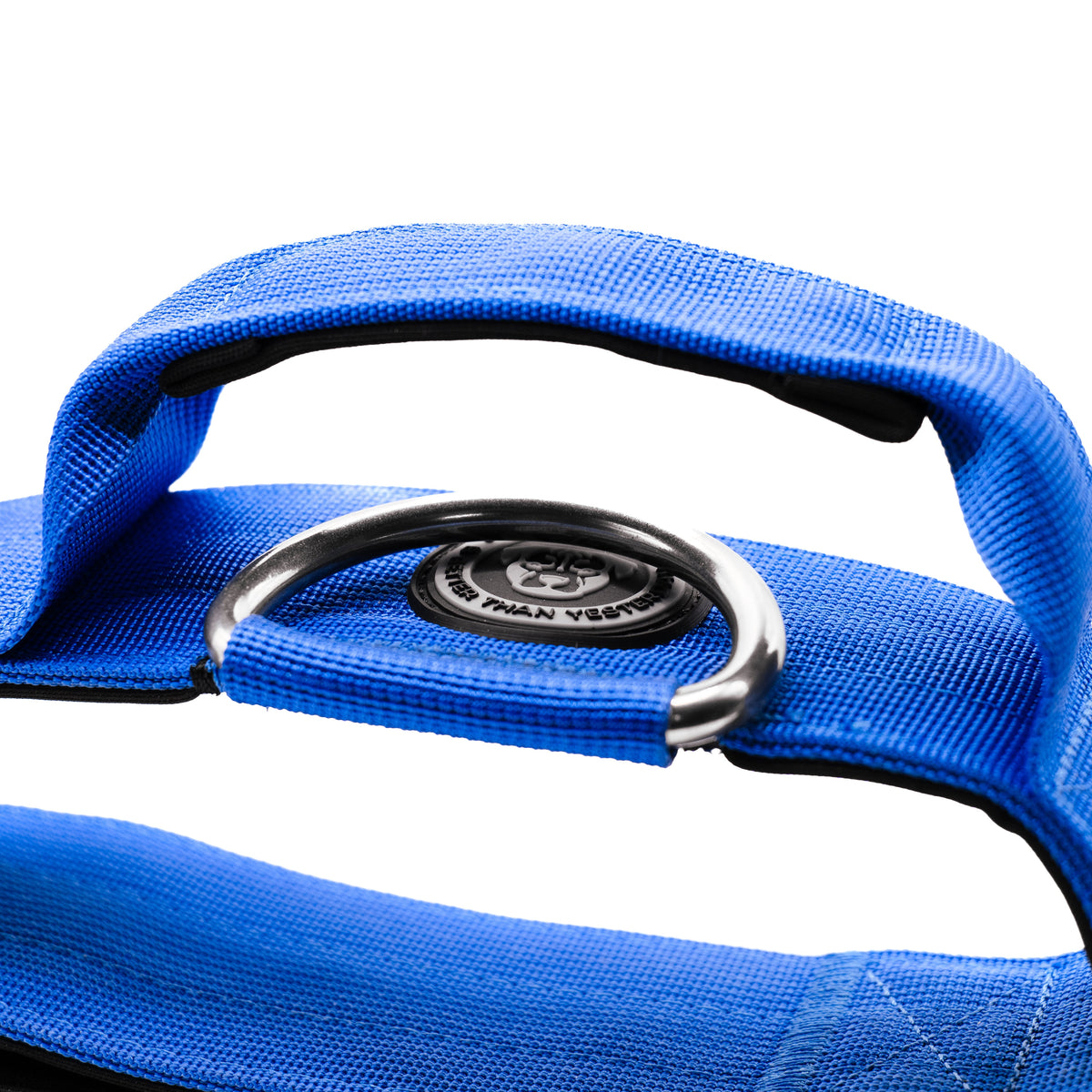 Grab handle and D-ring on top of the royal blue BTactical 5cm collar