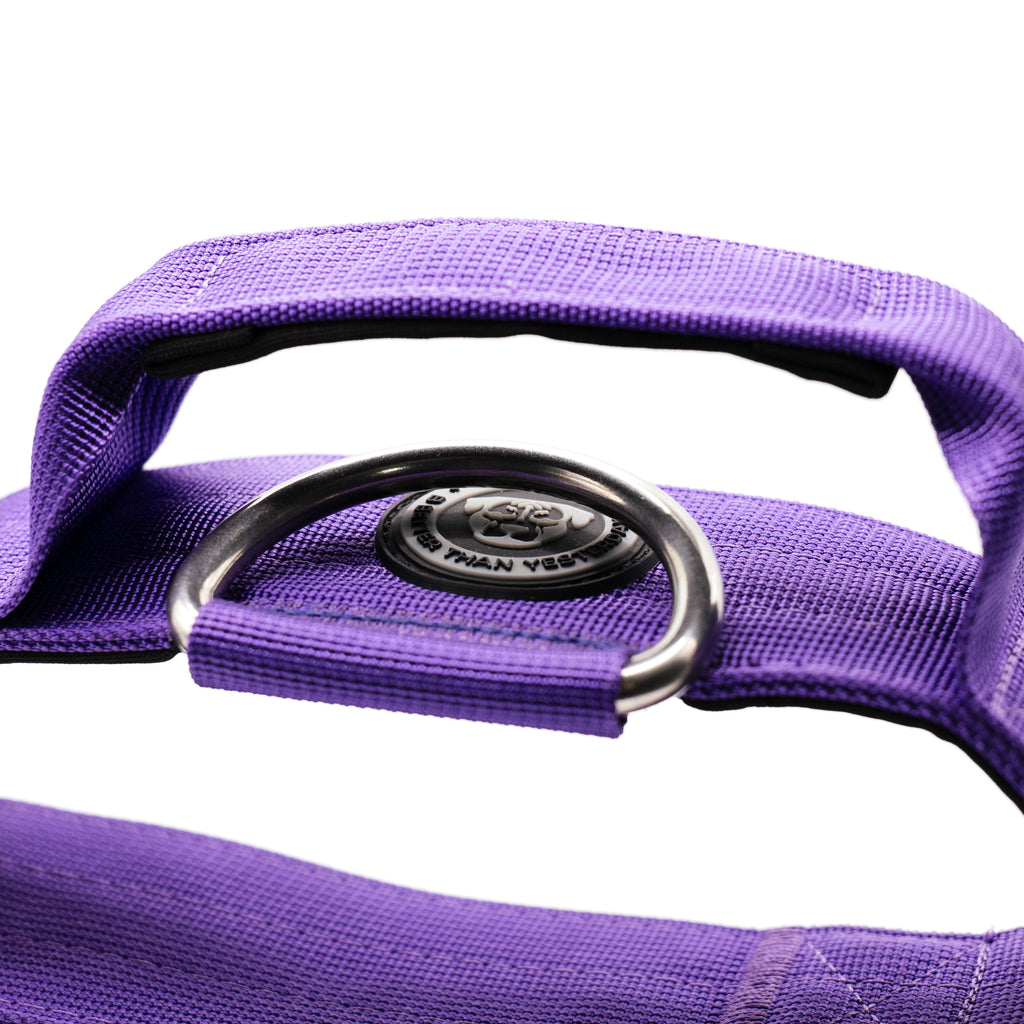 Grab handle and D-ring on top of the lavender purple BTactical 5cm collar