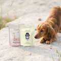 Dachshund sniffing Gizzls Sweet Dreams and Calming treat pouches on a sandy path