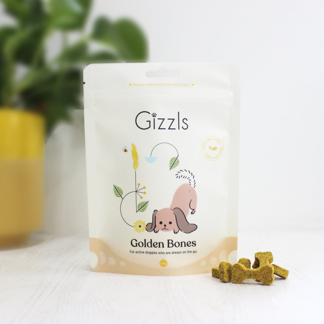 Gizzls Golden Bones 100g pouch with bone biscuits and a yellow plant pot behind