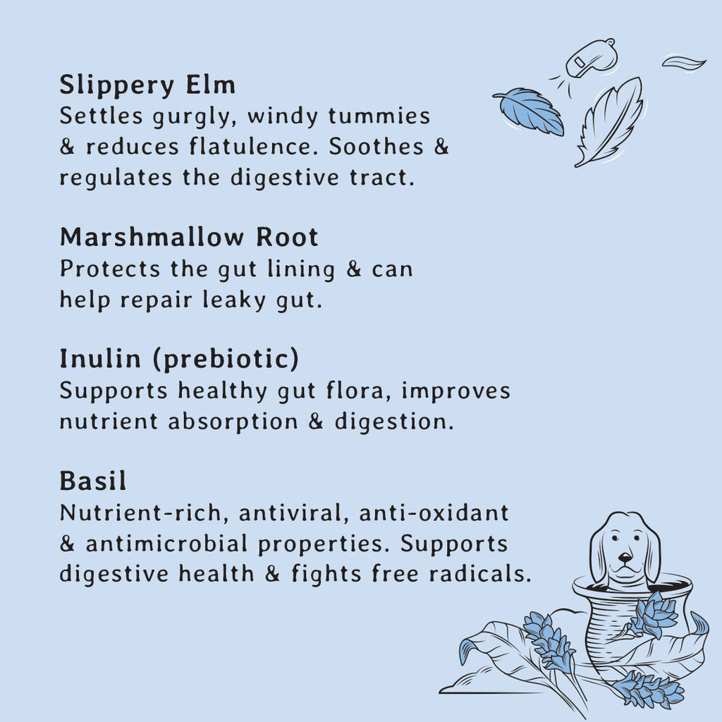 Gizzls Gut Support ingredient card describing slippery elm, marshmallow root, inulin and basil