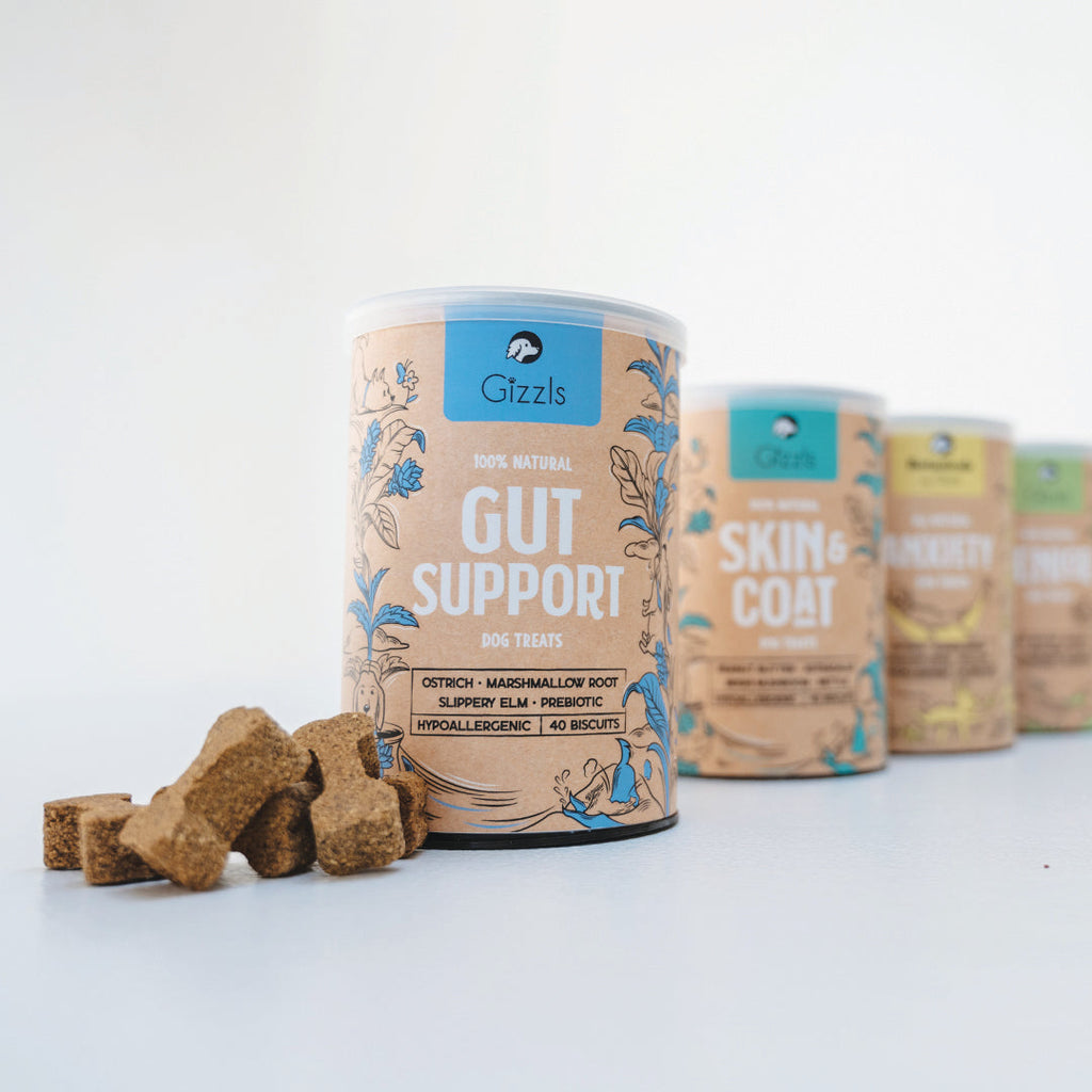 Gizzls Gut Support tub in front of Skin & Coat and other Gizzls tubs with biscuits