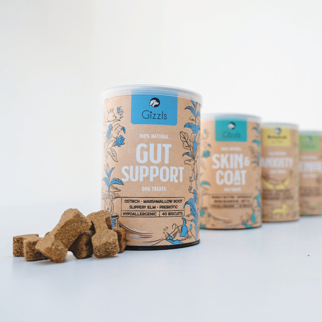 Gizzls Gut Support tub in front of Skin & Coat and other Gizzls tubs with biscuits