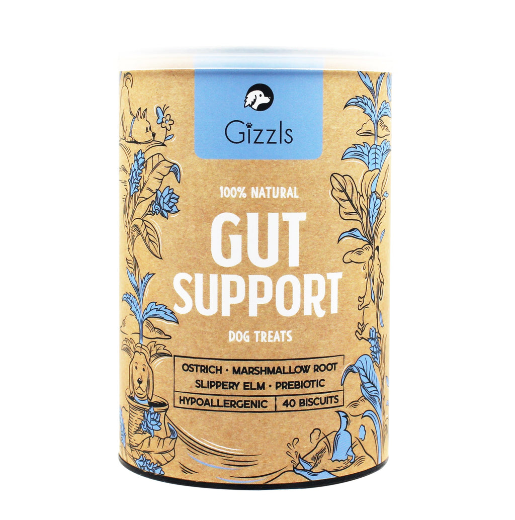 Gizzls Gut Support kraft tub with blue botanical illustrations on a white background