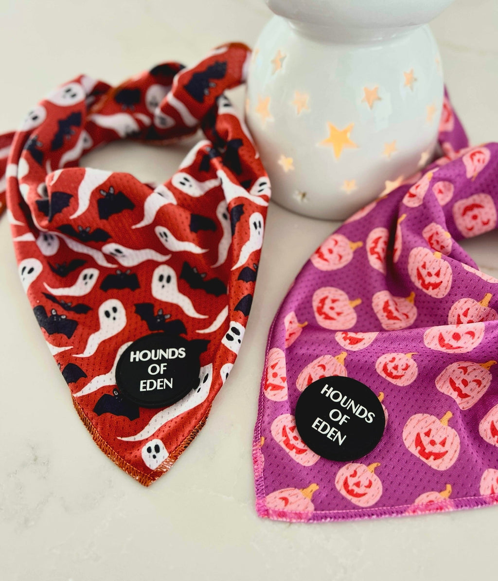 Spooky Halloween dog bandana