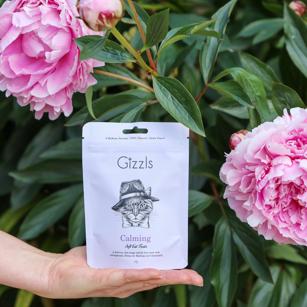 Hand holding the Gizzls Calming Soft Cat Treats pouch beside pink peonies