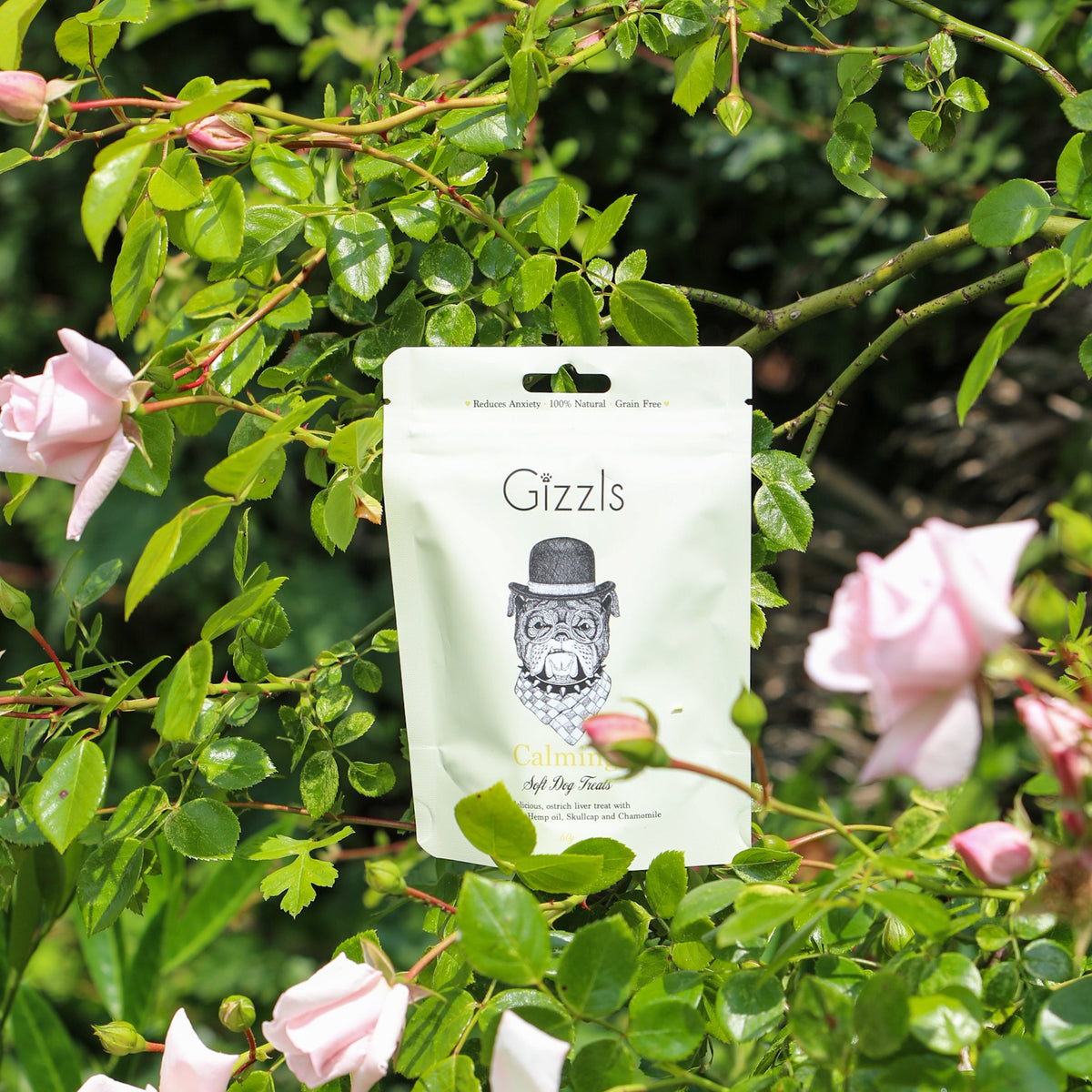 Gizzls Calming Soft Dog Treats pouch among pink roses and green leaves