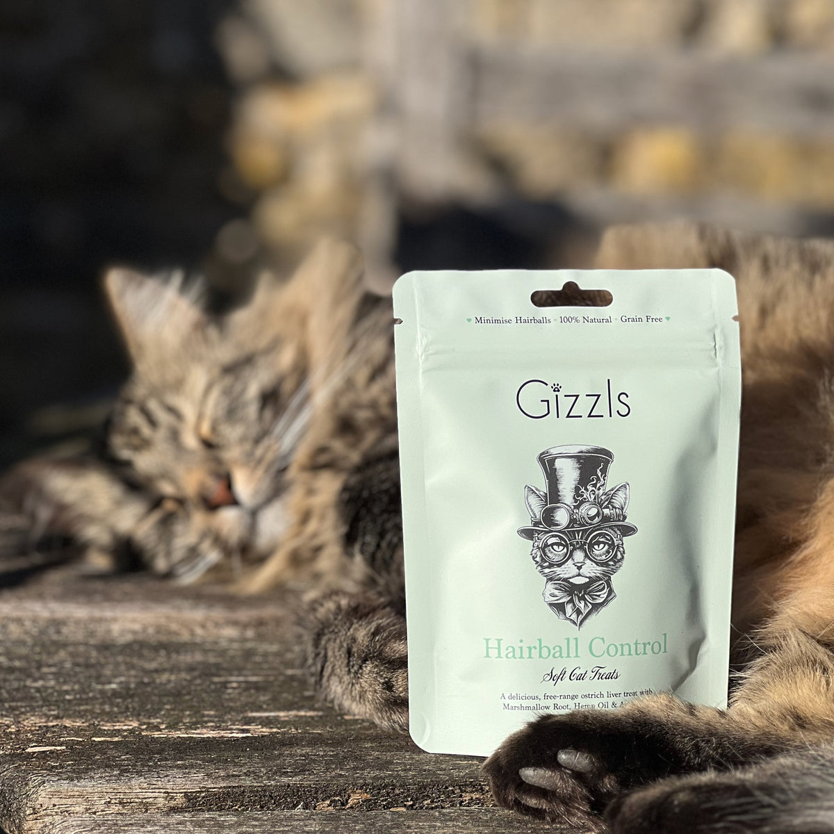 Tabby cat dozing in the sun behind a pale green Gizzls soft cat treats pouch
