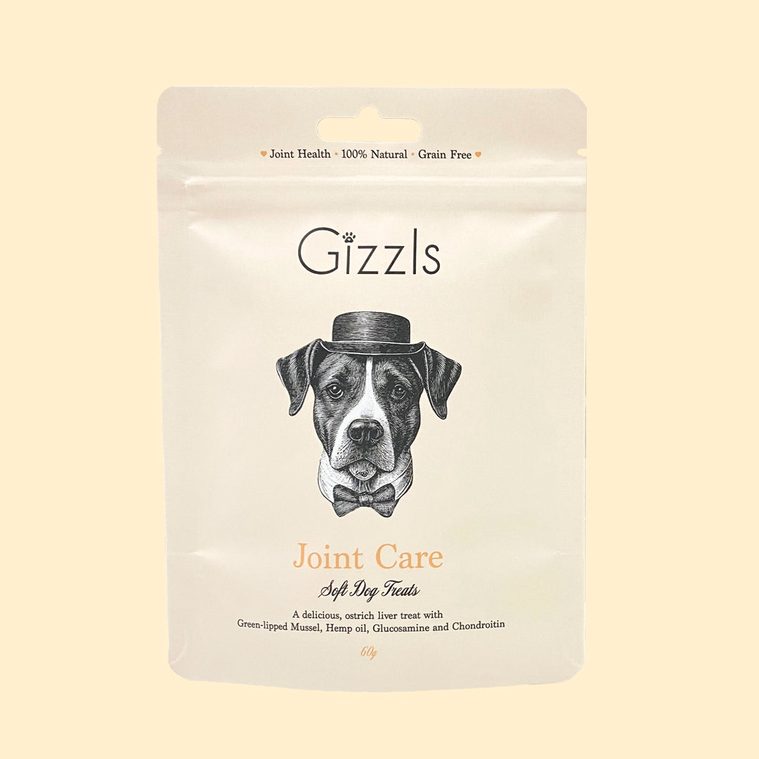 Gizzls Joint Care Soft Dog Treats pouch on a pale yellow background
