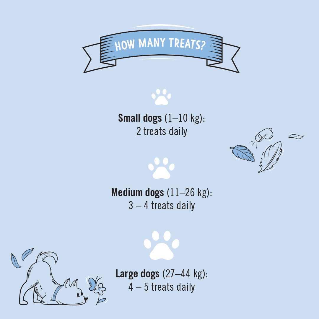 Gizzls Gut Support feeding guide card for small, medium and large dogs