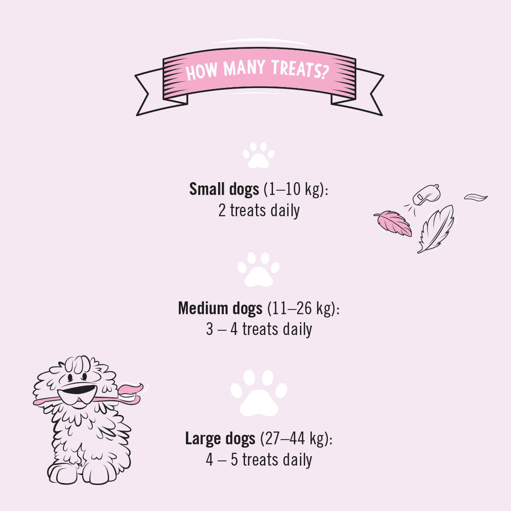 Gizzls Dental Dazzle feeding guide card for small, medium and large dogs
