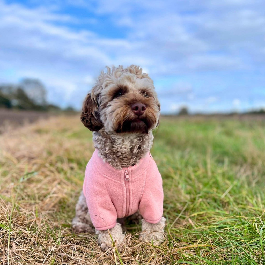 Cockapoo sitting in a field wearing the Pale Pink Dog Fleece Coat