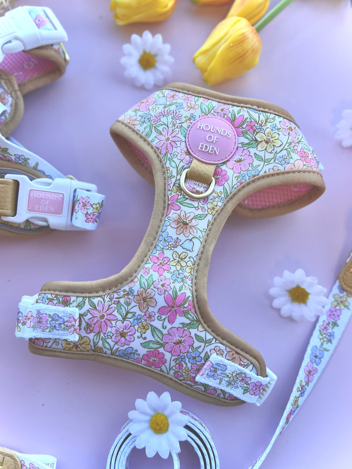 Pastel floral dog harness laid flat with daisies and yellow tulips