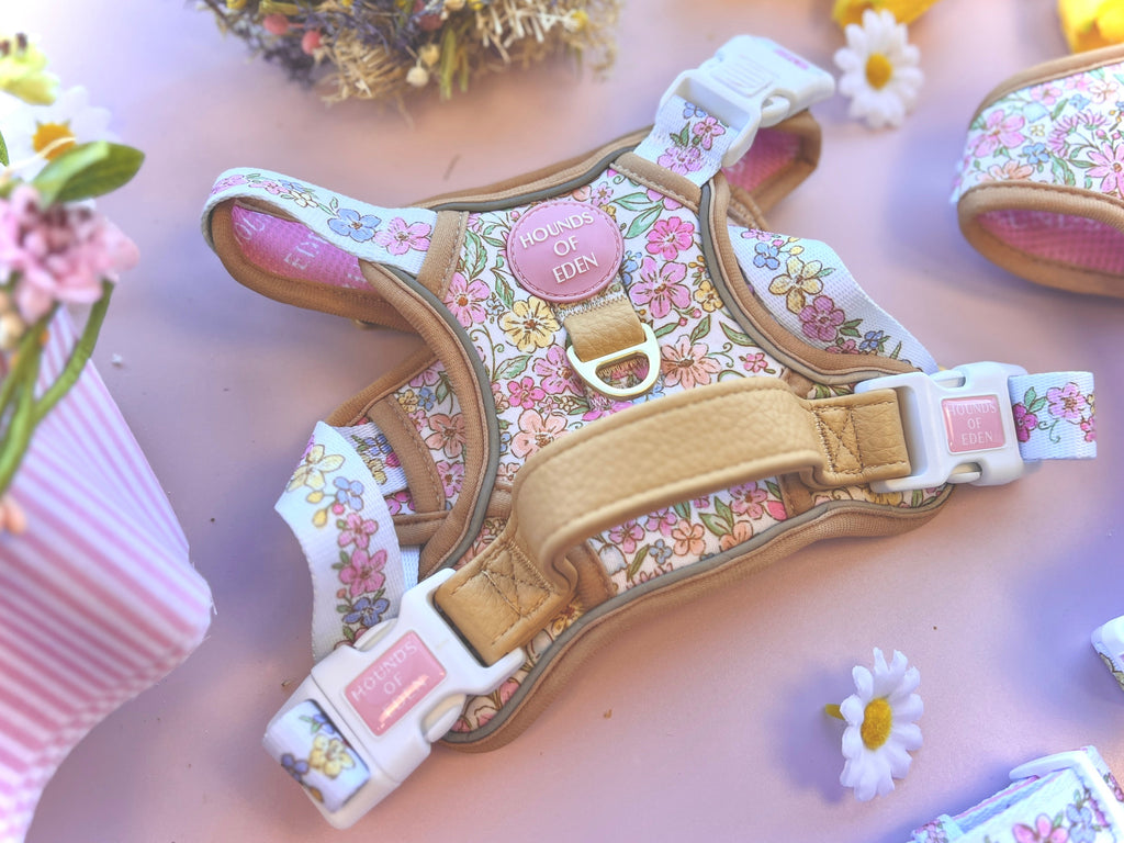 Supaw Strong floral harness flat lay with tan handle, daisies and pink vase