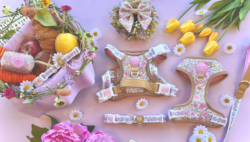 Pastel Petals Supaw Strong Floral Step-In Dog Harness, XS-XL