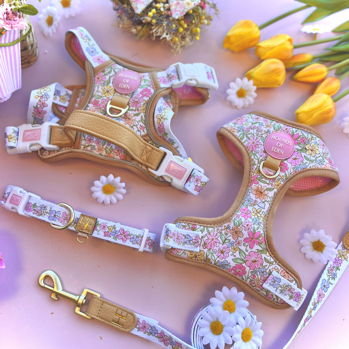 Pastel floral harnesses, collar and lead flat lay with daisies and yellow tulips