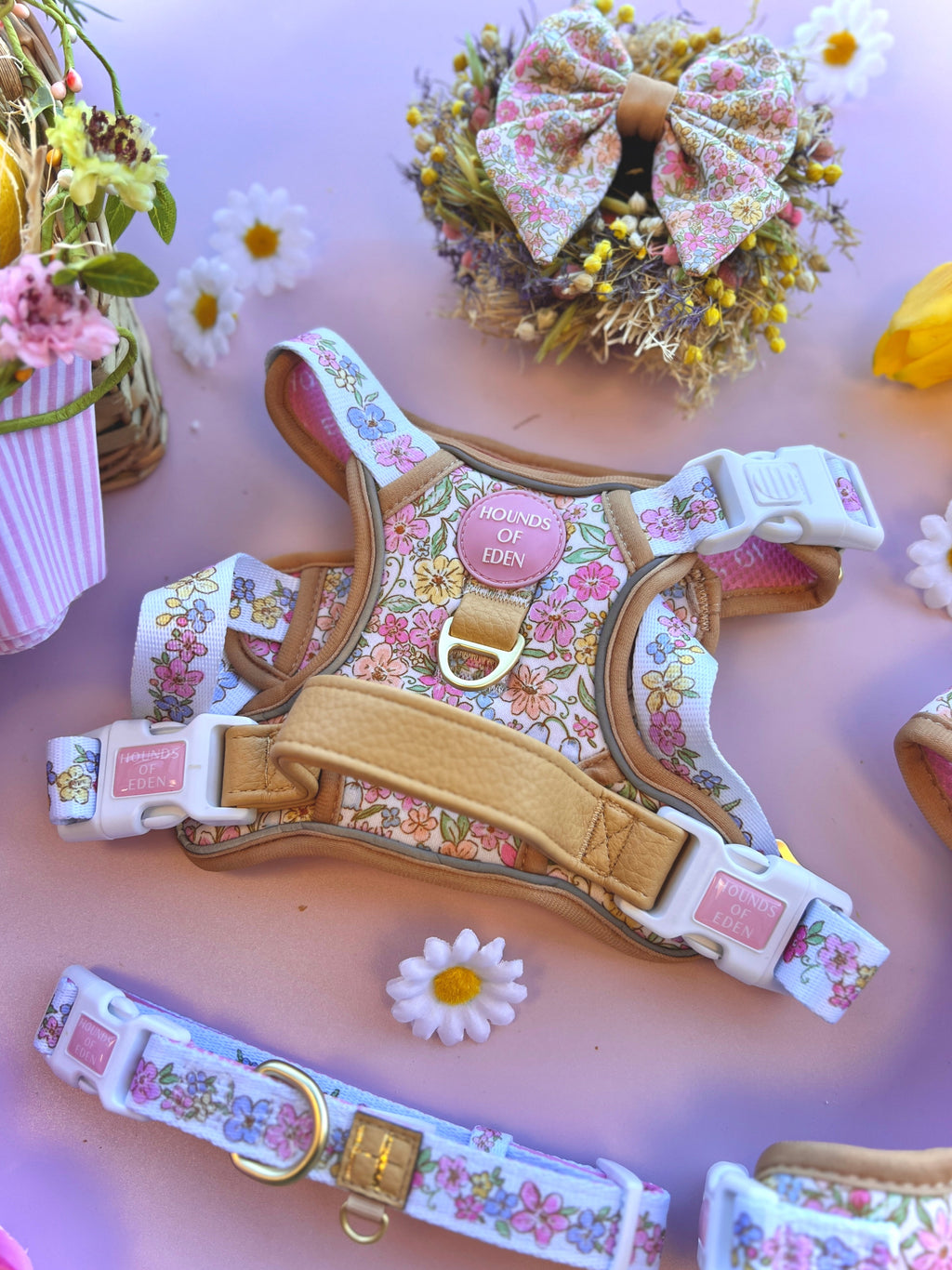 Supaw Strong floral harness and matching collar flat lay with daisies and a bow