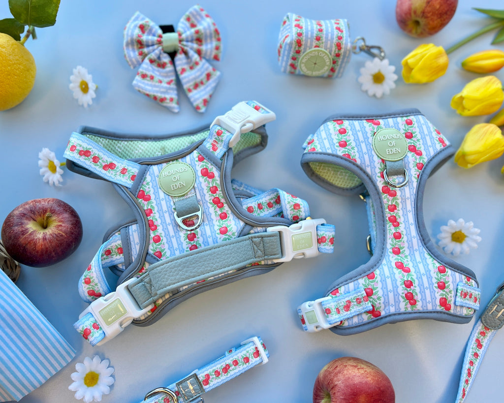 Eden's Orchard apple print harnesses, bow and poop bag holder with red apples and tulips