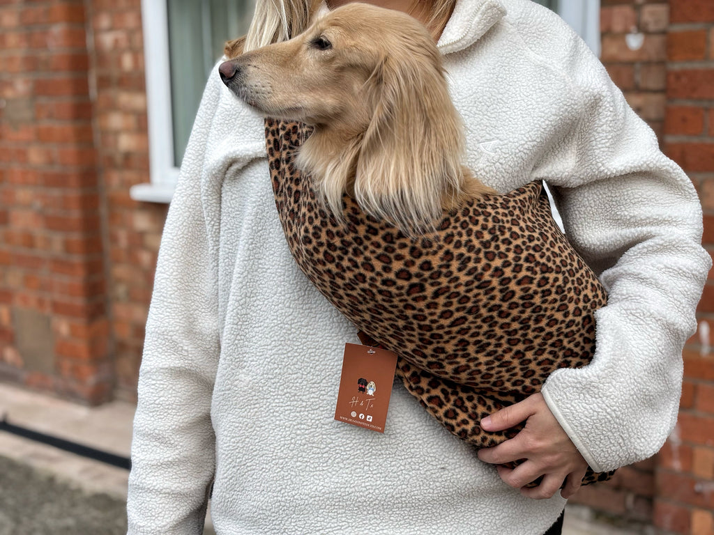 Cream long-haired dachshund in an orange leopard Patterned Fleece Dog Sling