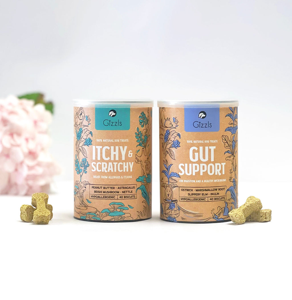 Gizzls Itchy & Scratchy and Gut Support tins side by side with biscuits and pink flowers – Skin & Tummy Bundle