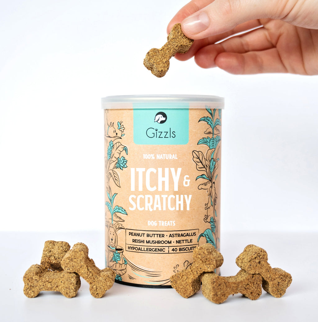Gizzls Itchy & Scratchy tin with teal label and bone biscuits, included in The Wellness Bundle