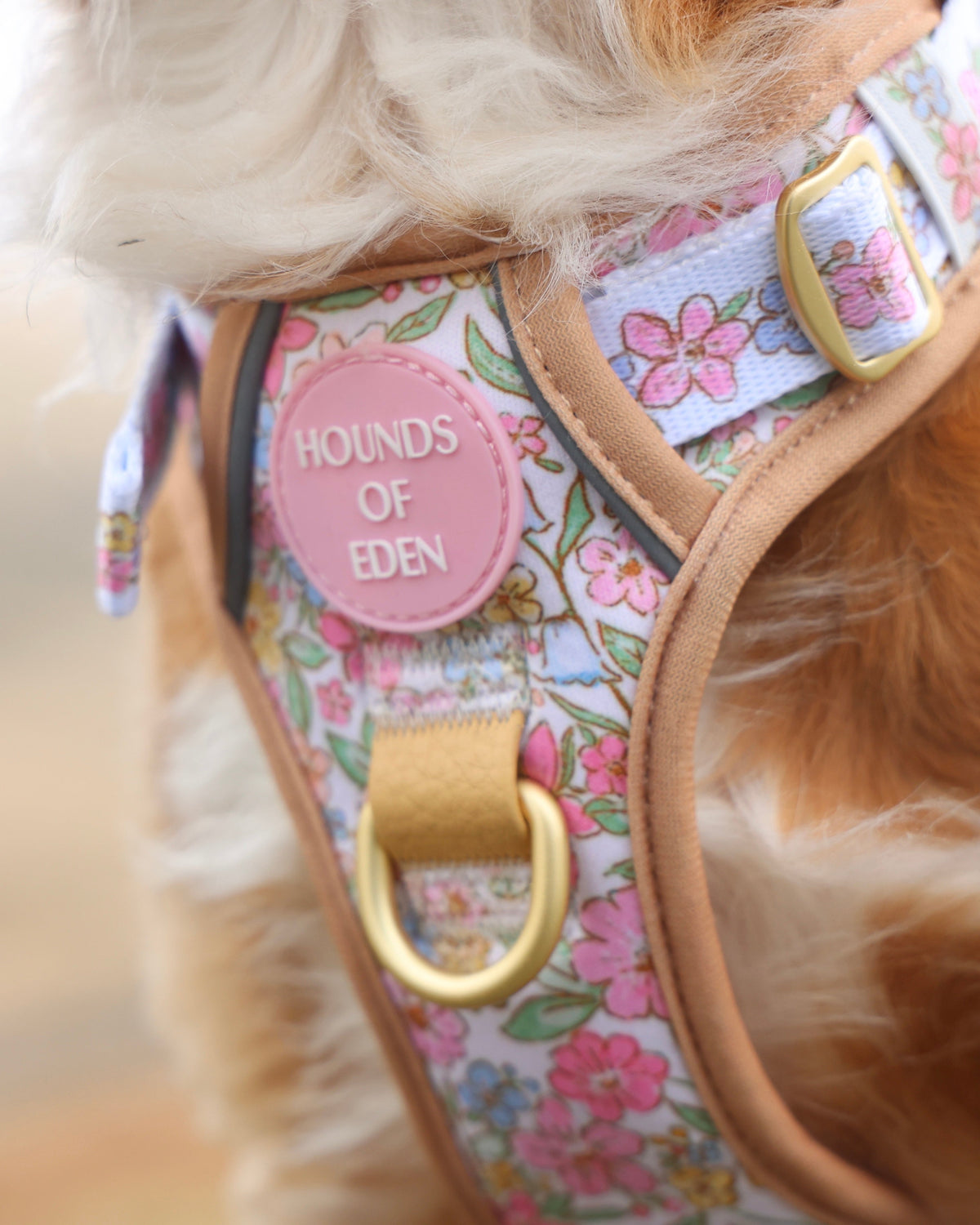 Close-up of the pastel floral harness with pink badge and gold D-ring on a golden dog