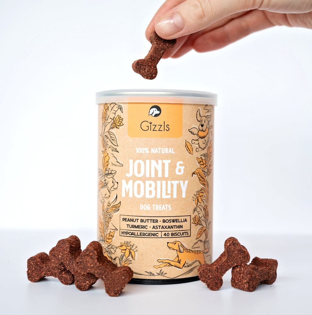 Gizzls Joint & Mobility tin with dark bone-shaped biscuits, included in The Wellness Bundle