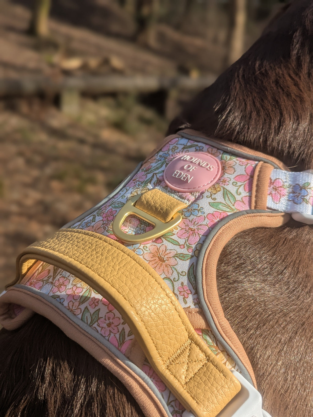 Pastel Petals Supaw Strong Floral Step-In Dog Harness, XS-XL