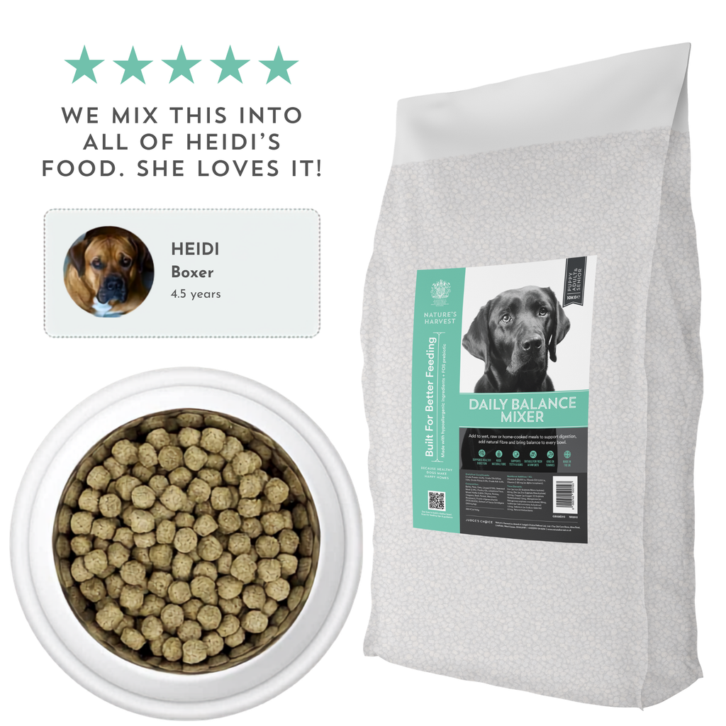 Daily Balance dog food mixer bag beside a bowl of round mixer biscuits with a customer quote graphic