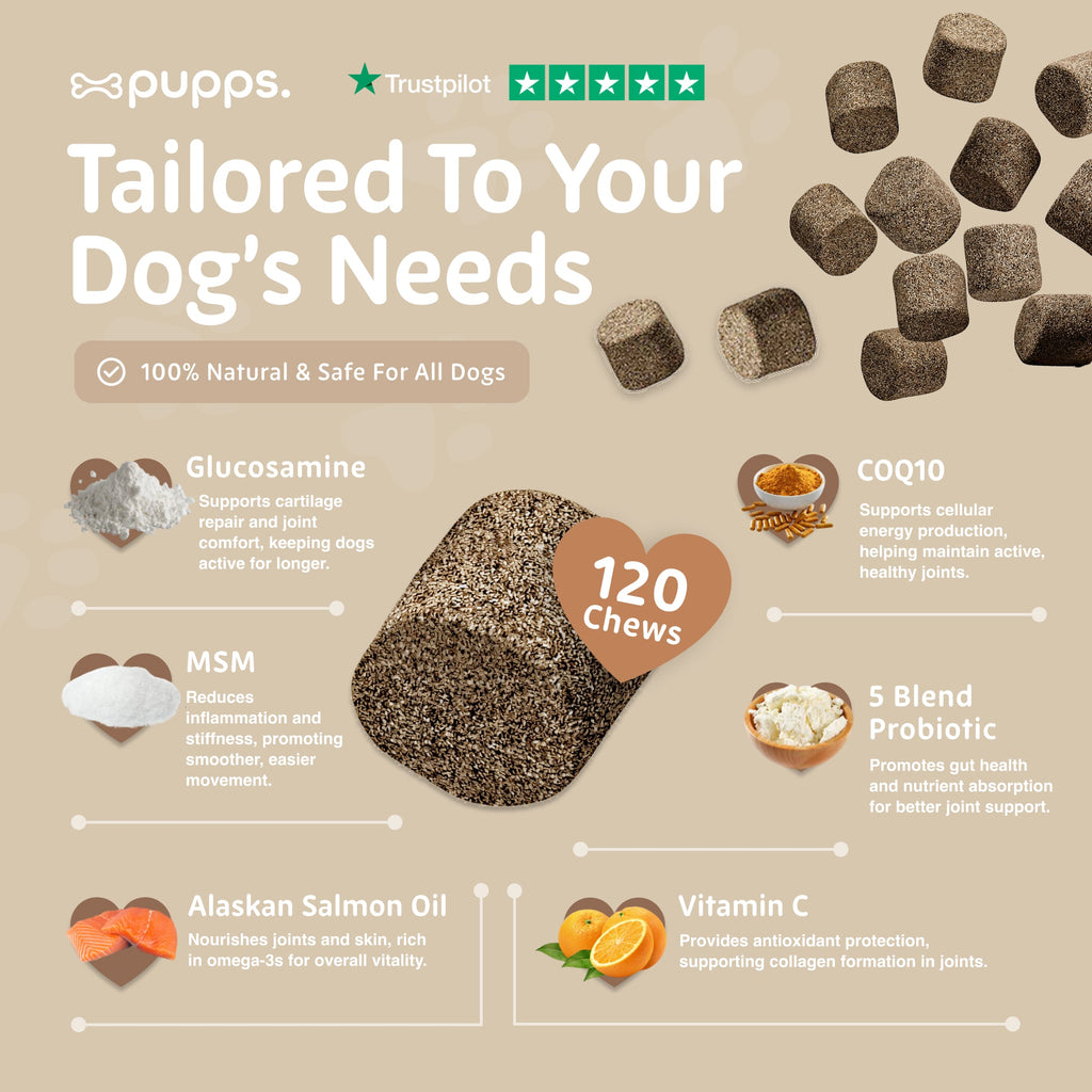 Pupps Multivitamin 8 in 1 ingredients chart with glucosamine, MSM, salmon oil and a large chew