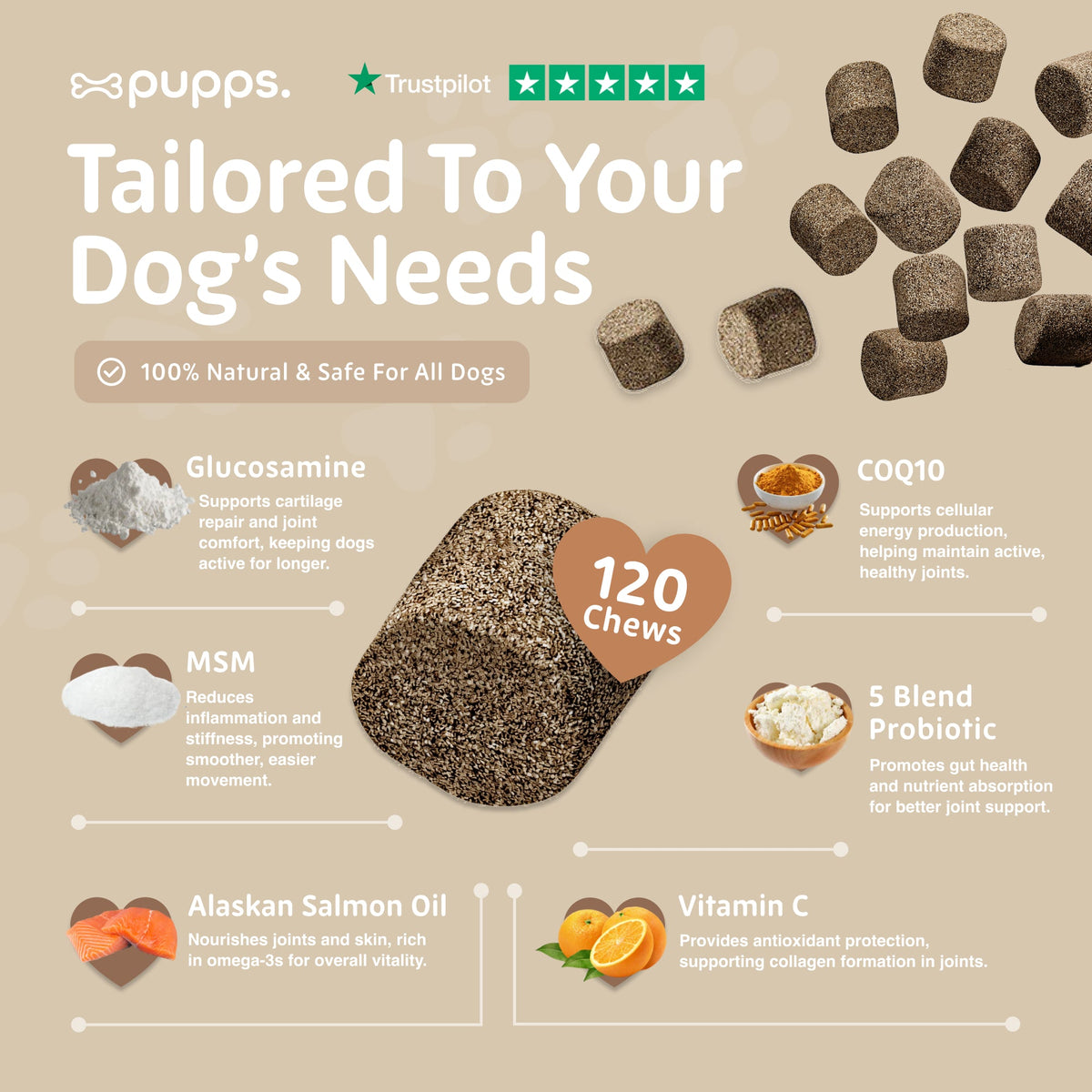 Pupps Multivitamin 8 in 1 ingredients chart with glucosamine, MSM, salmon oil and a large chew