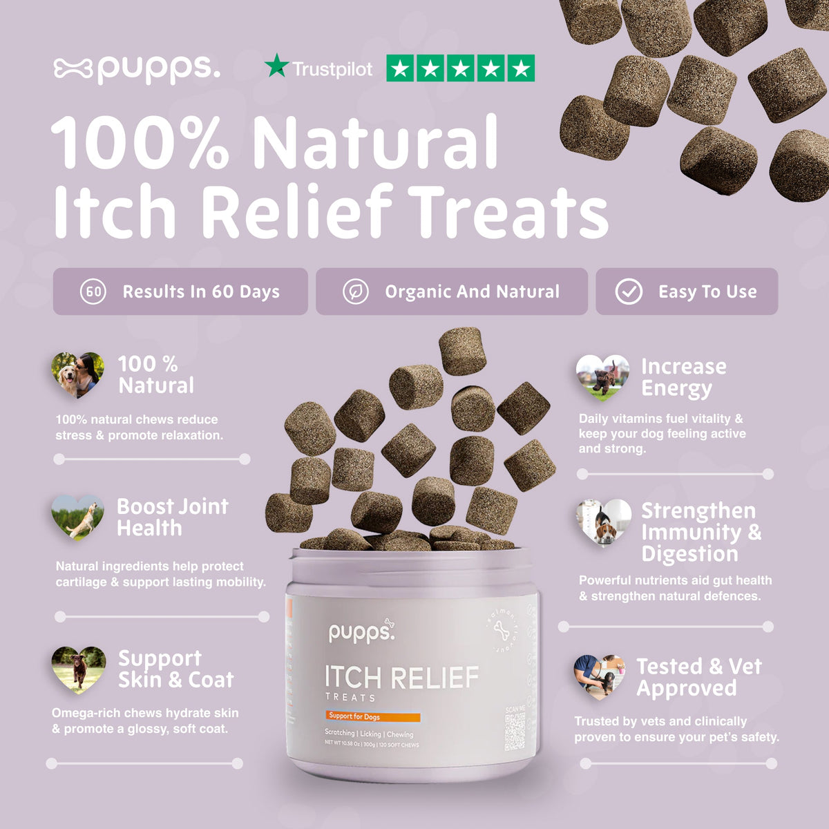Pupps soft chews tub with ingredient icons on a lilac background