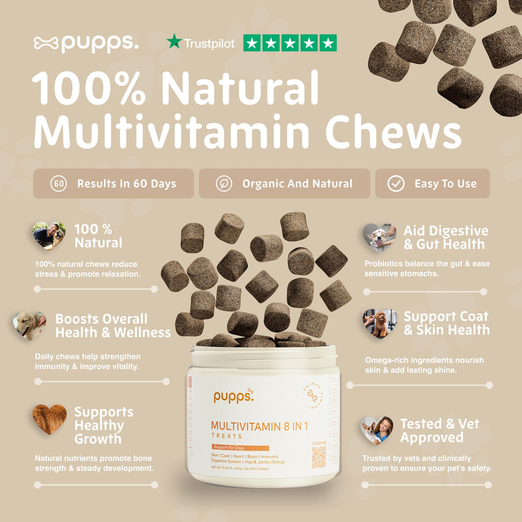 Pupps Multivitamin 8 in 1 natural chews infographic with the open tub and chews