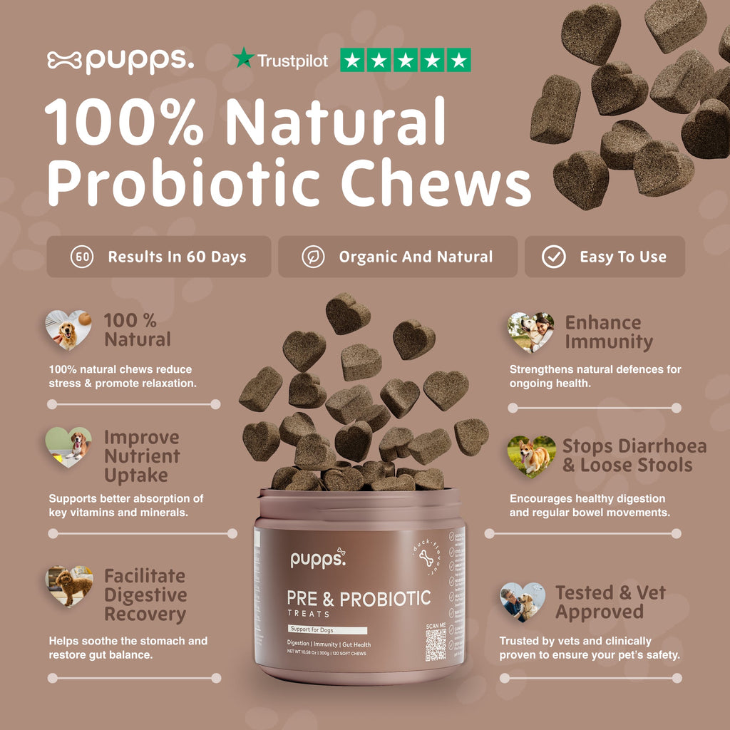 Pupps Pre & Probiotic natural chews infographic with the open tub and chews
