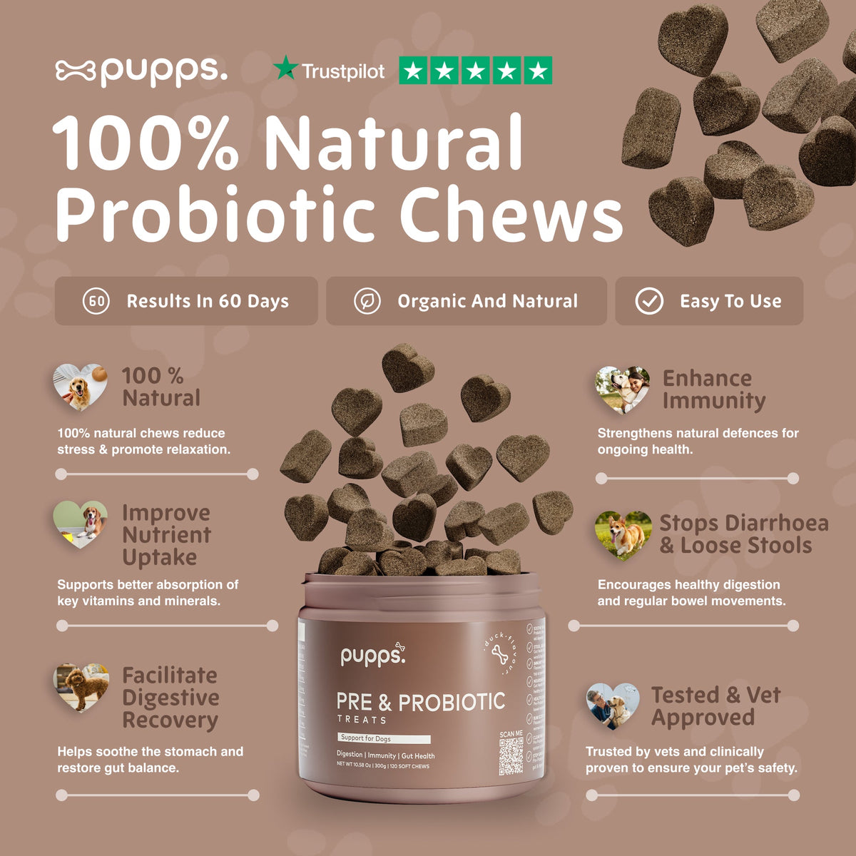 Pupps Pre & Probiotic natural chews infographic with the open tub and chews
