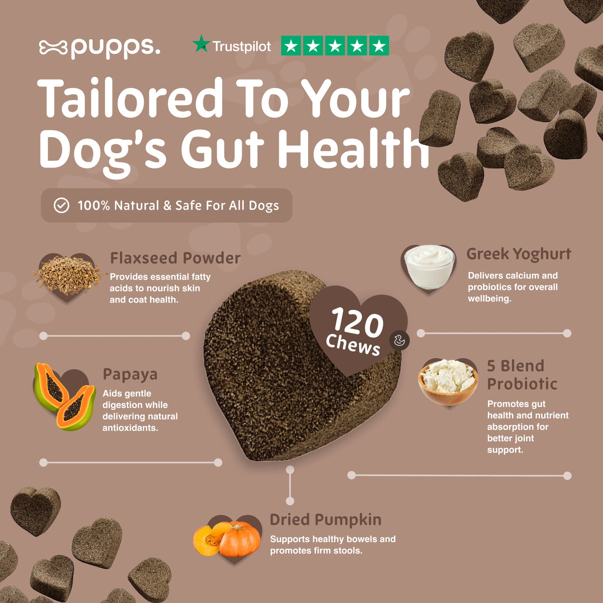 Pupps Pre & Probiotic ingredients chart with flaxseed, papaya, pumpkin and Greek yoghurt