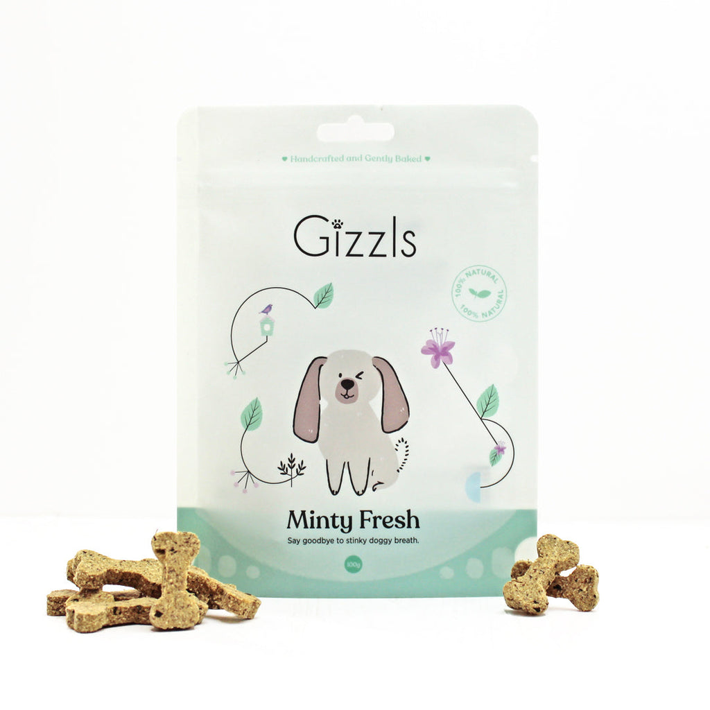 Minty Fresh Small Dog Treats 100g pouch with small bone-shaped biscuits