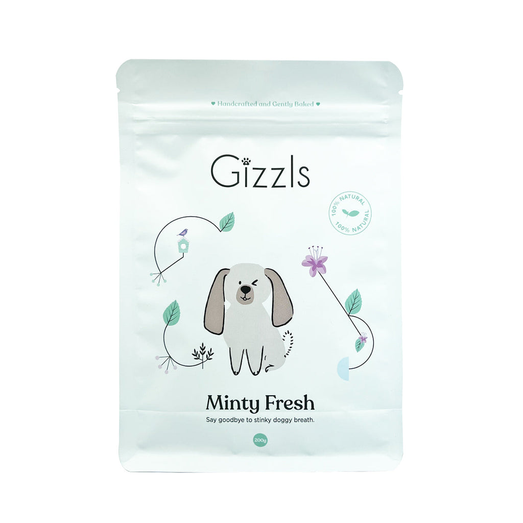 Front of the mint green Gizzls Minty Fresh Big Dog Treats 200g pouch