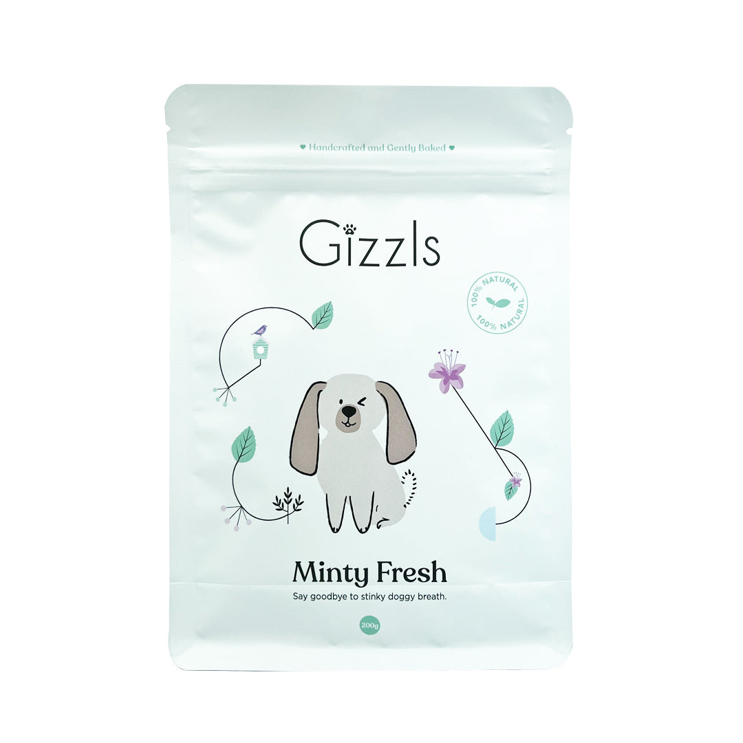Front of the mint green Gizzls Minty Fresh Big Dog Treats 200g pouch