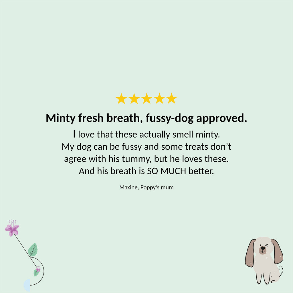 Customer quote card for Gizzls Minty Fresh dog treats on a mint green background