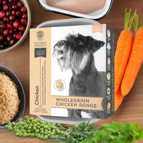 Nature's Harvest Chicken & Brown Rice wet dog food tray with schnauzer, raw chicken, peas, carrots and rice