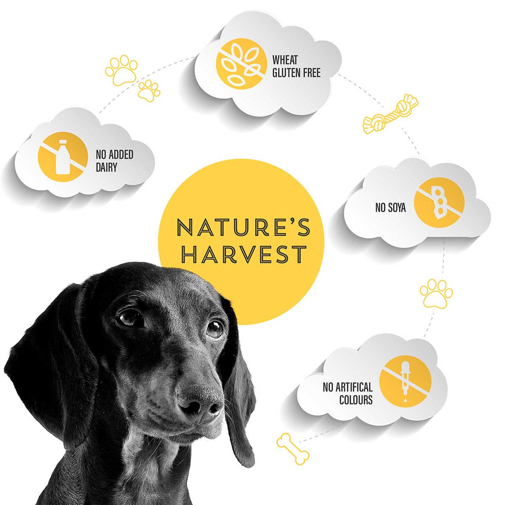 Dachshund with free-from icons: no added dairy, no soya, no artificial colours, wheat gluten free