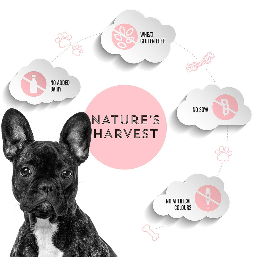 French bulldog with free-from icons: no added dairy, no soya, no artificial colours, wheat gluten free