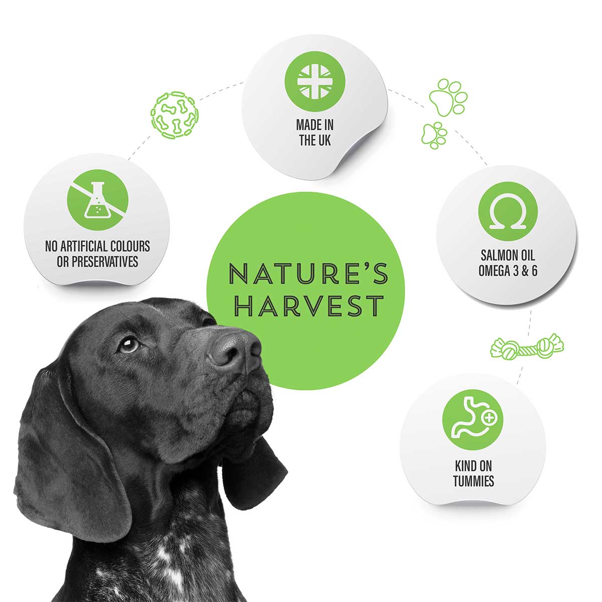 Pointer with Nature's Harvest icons: made in the UK, salmon oil omega 3 & 6, no artificial colours
