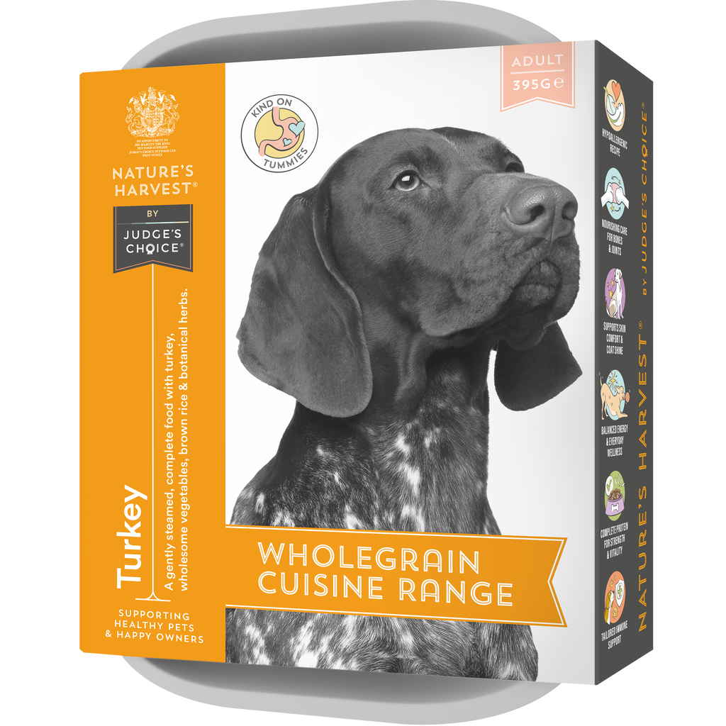 Front of orange Nature's Harvest Turkey wholegrain wet dog food tray with pointer portrait